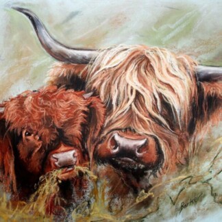 Image of Lourin and Her Bull Calf by Hillary Barker